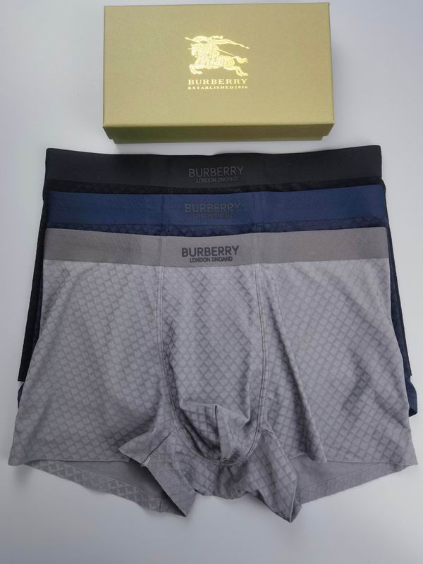 Burberry boxer L-4XL 13